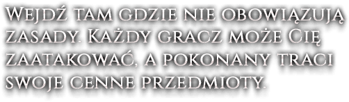 Wejdź tam gdzie nie obowiązują zasady. Każdy gracz może Cię zaatakować, a pokonany traci swoje cenne przedmioty.